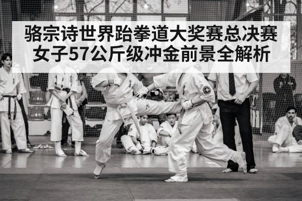 taekwondo competition